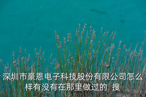 深圳市豪恩电子科技股份有限公司怎么样有没有在那里做过的  搜