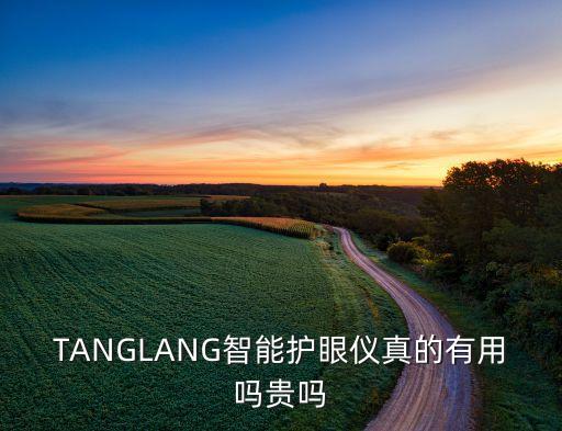 tanglang智能护眼仪真的有用吗贵吗