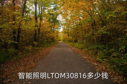 升辉科技智能路灯价格多少，智能照明ltom30816多少钱