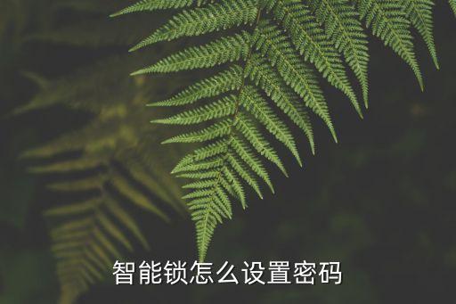 智能锁怎么设置密码