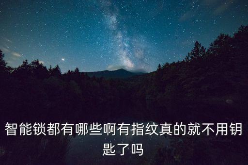 智能锁都有哪些啊有指纹真的就不用钥匙了吗