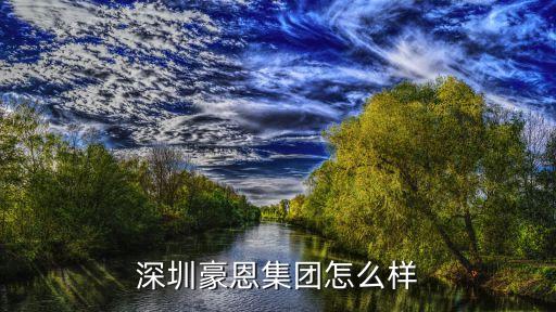 深圳豪恩集团怎么样