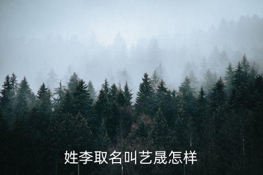 姓李取名叫艺晟怎样