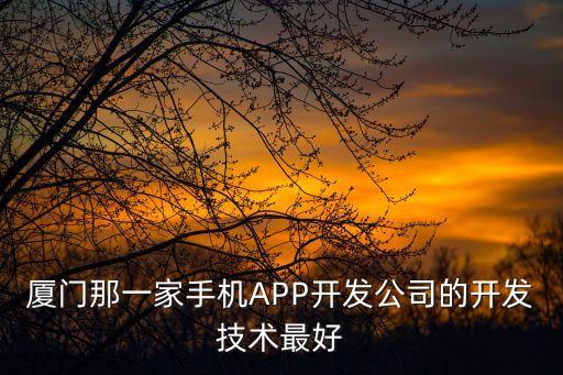 厦门那一家手机app开发公司的开发技术最好