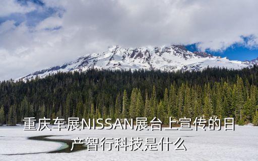 展会上的智能科技是什么，重庆车展nissan展台上宣传的日产智行科技是什么