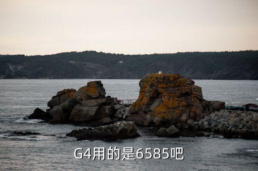 g4用的是6585吧