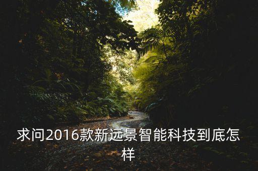 求问2016款新远景智能科技到底怎样