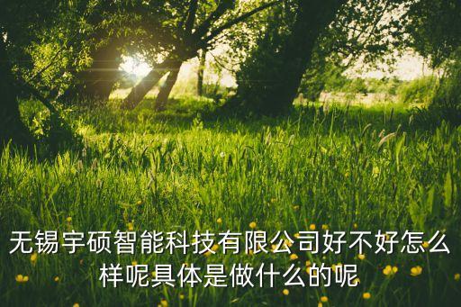 无锡宇硕智能科技有限公司好不好怎么样呢具体是做什么的呢