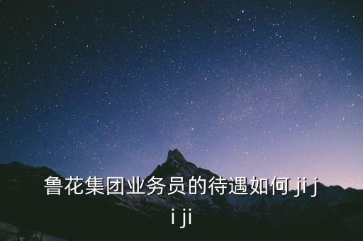 鲁花集团业务员的待遇如何 ji ji ji