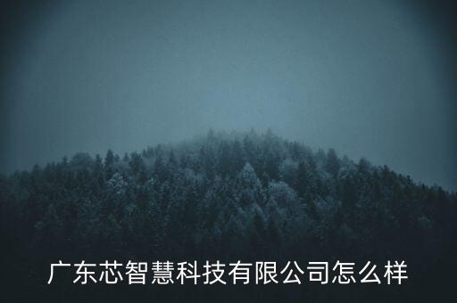 物芯智能科技怎么样，江苏物合智联科技有限公司怎么样