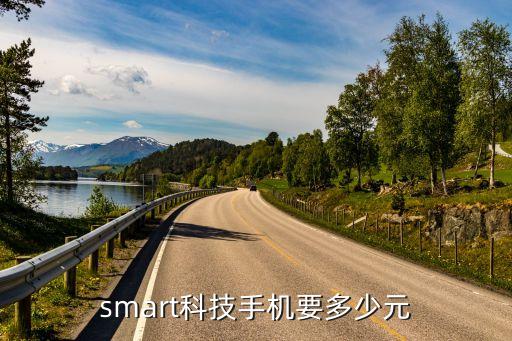 smart科技手机要多少元