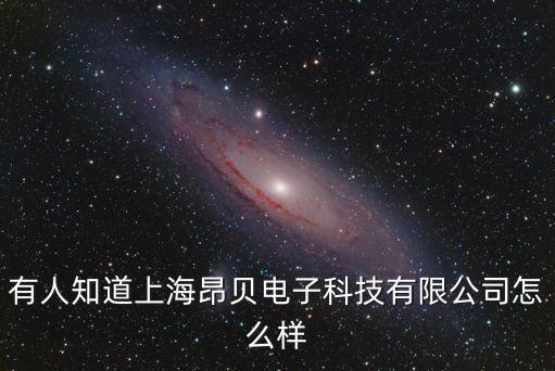 有人知道上海昂贝电子科技有限公司怎么样