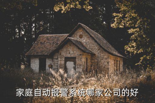 家庭自动报警系统哪家公司的好