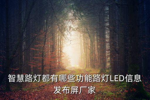 智慧路灯都有哪些功能路灯led信息发布屏厂家