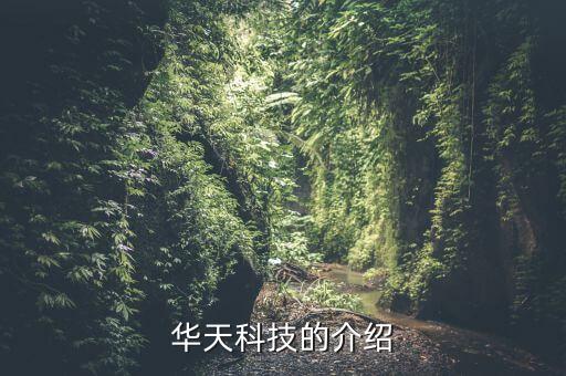 华天科技的介绍