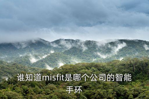 谁知道misfit是哪个公司的智能手环