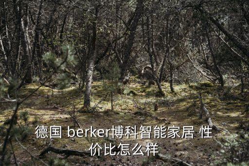 德国 berker博科智能家居 性价比怎么样