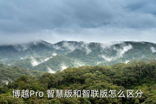 博越pro 智慧版和智联版怎么区分