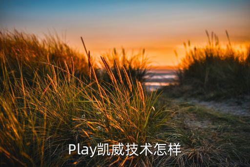 play凯威技术怎样