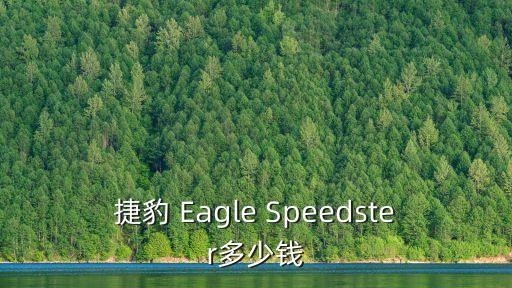 捷豹 eagle speedster多少钱