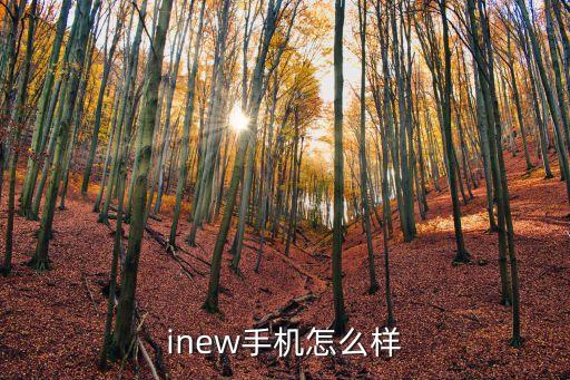 inew手机怎么样