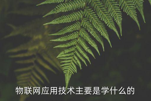 物联网应用技术主要是学什么的