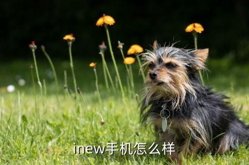 inew手机怎么样