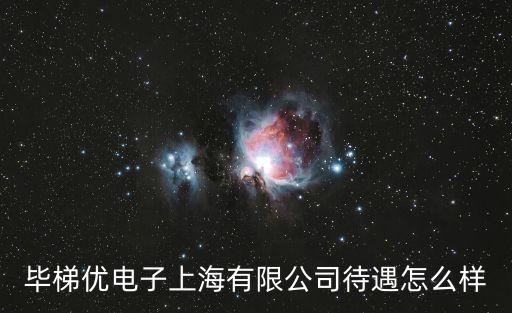 毕梯优电子上海有限公司待遇怎么样