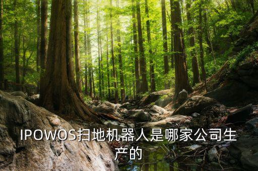 ipowos扫地机器人是哪家公司生产的