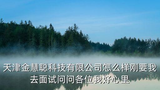 天津金慧聪科技有限公司怎么样刚要我去面试问问各位我好心里