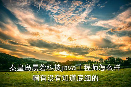 秦皇岛晨砻科技java工程师怎么样啊有没有知道底细的