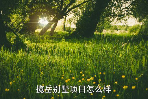 南京芸浩智能科技怎么样，南京华东电子集团迈皋桥那个公司怎么样我是应届生谢谢