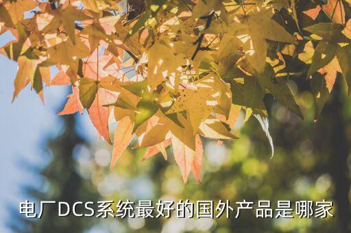 电厂dcs系统最好的国外产品是哪家