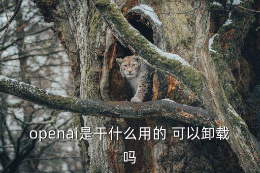 openai是干什么用的 可以卸载吗