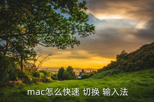  mac怎么快速 切换 输入法