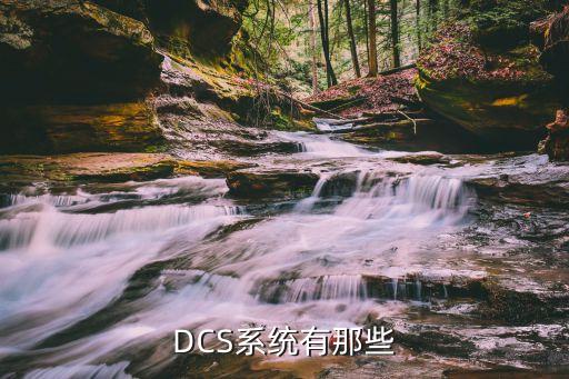 dcs系统有那些