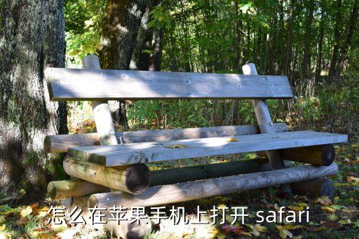 怎么在苹果手机上打开 safari