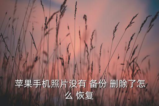  苹果手机照片没有 备份 删除了怎么 恢复