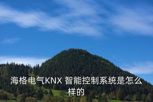 海格电气knx 智能控制系统是怎么样的