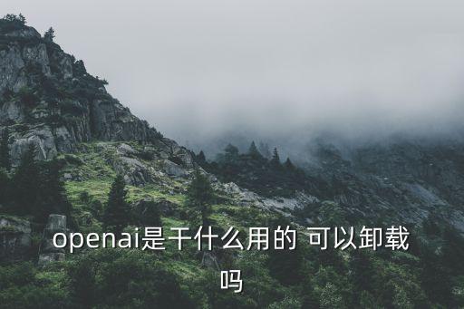 openai是干什么用的 可以卸载吗