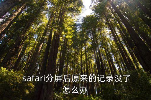  safari分屏后原来的记录没了怎么办