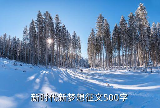 新时代新梦想征文500字