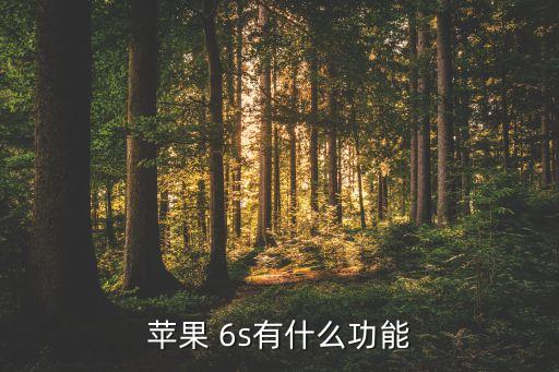 苹果 6s有什么功能