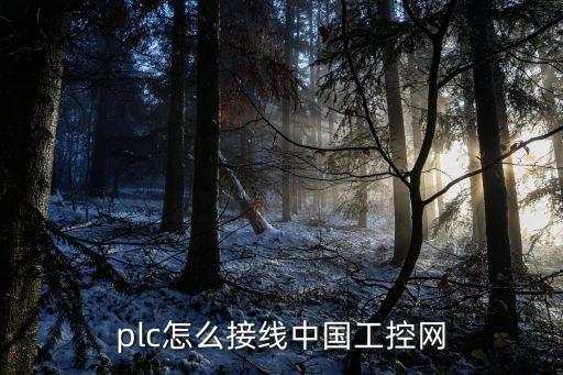 plc怎么接线中国工控网