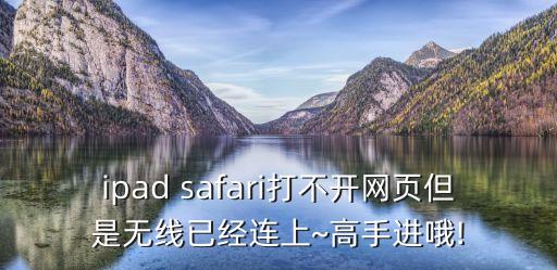 ipad safari打不开网页但是无线已经连上~高手进哦!