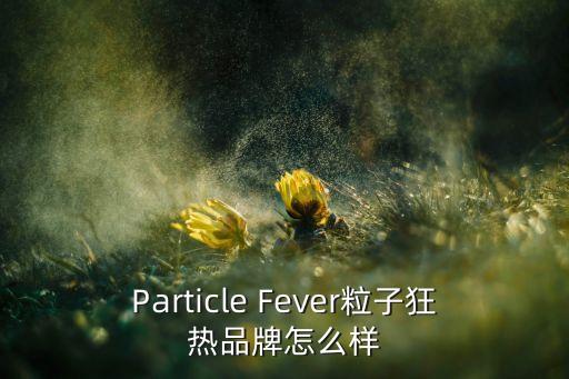 particle fever粒子狂热品牌怎么样