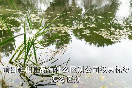 莆田鞋和正品有什么区别公司级真标级怎么区分