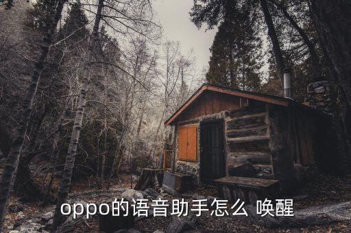  oppo的语音助手怎么 唤醒