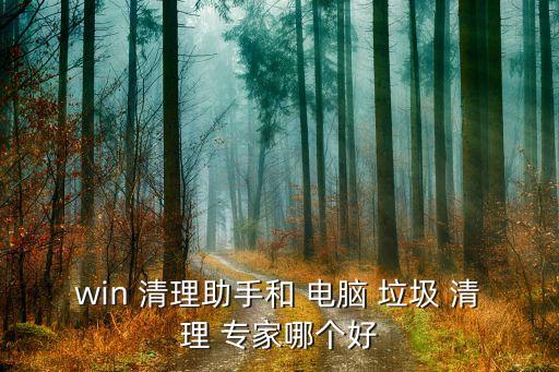 win 清理助手和 电脑 垃圾 清理 专家哪个好