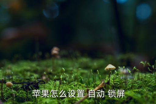  苹果怎么设置 自动 锁屏